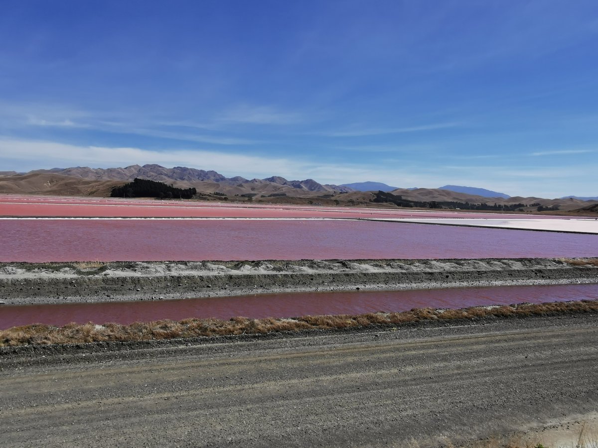 Meersalzgewinnungsanlage
