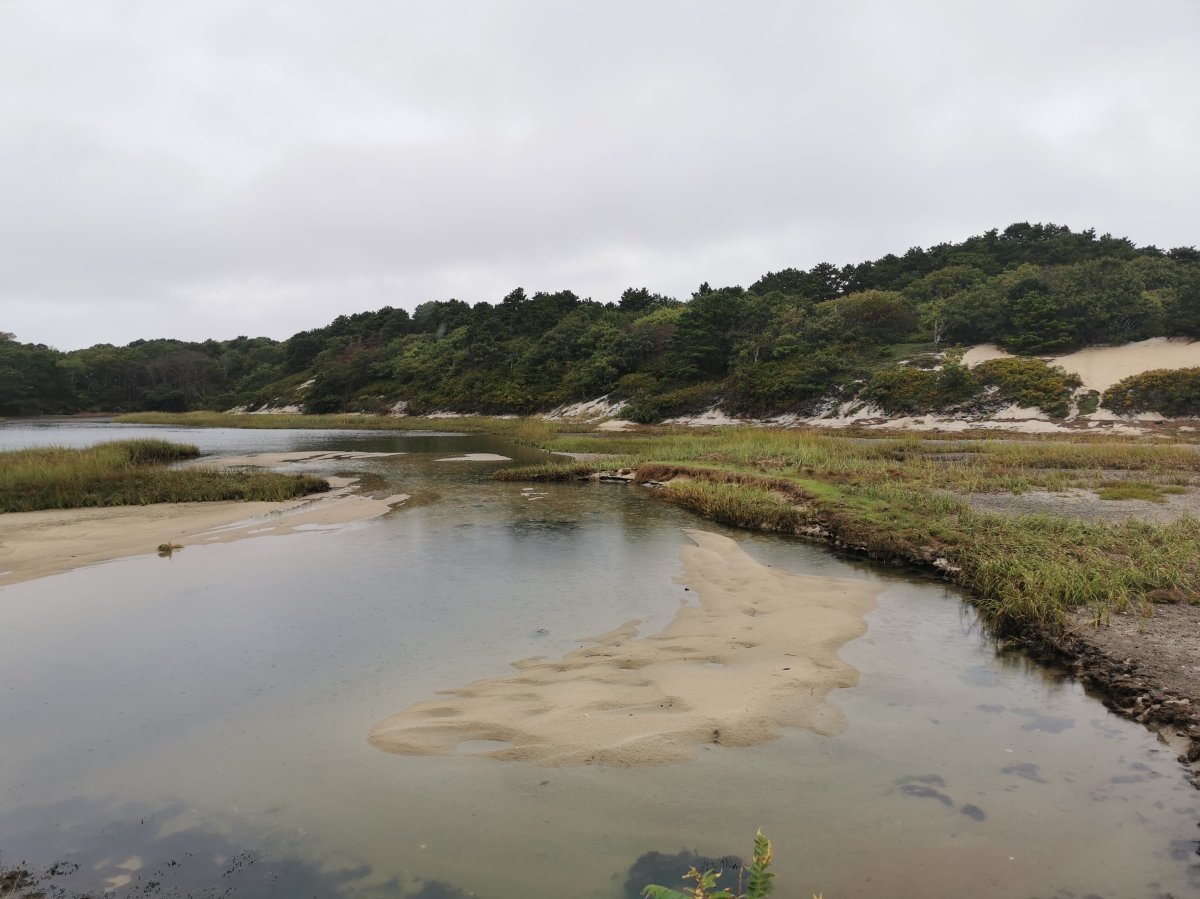 Cape Cod National Seashore