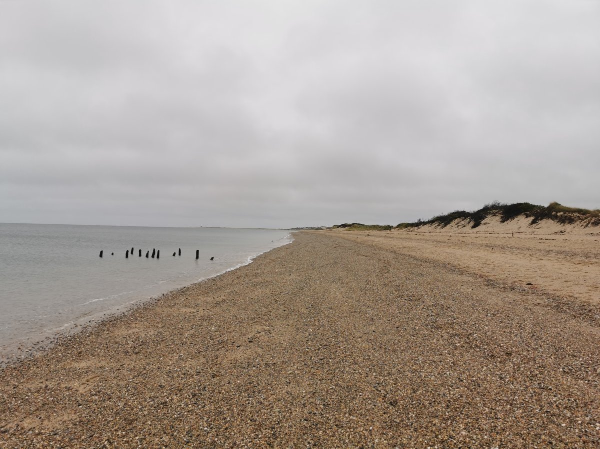 Cape Cod National Seashore
