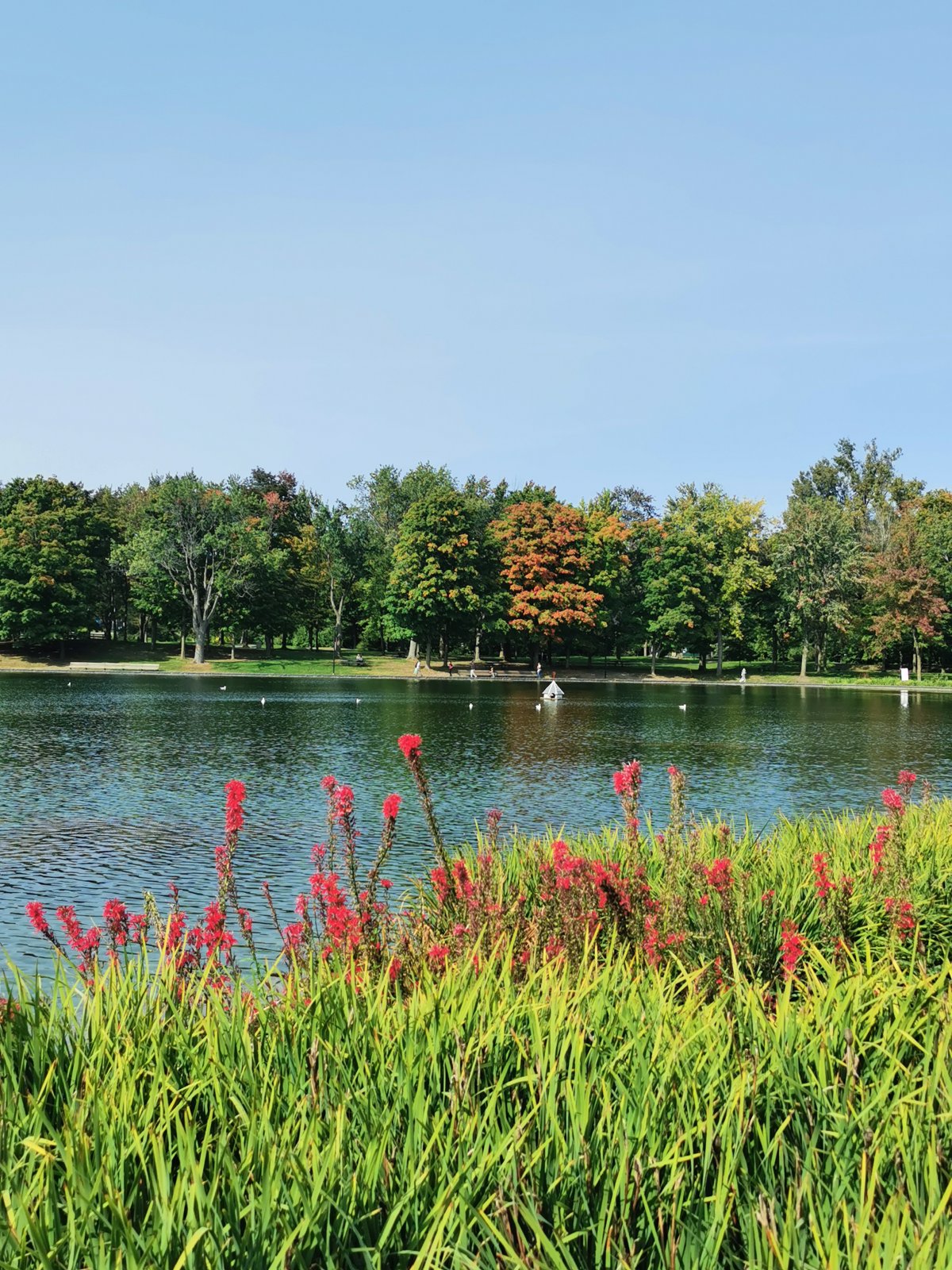 Lac aux castors im Parc Mont Royal