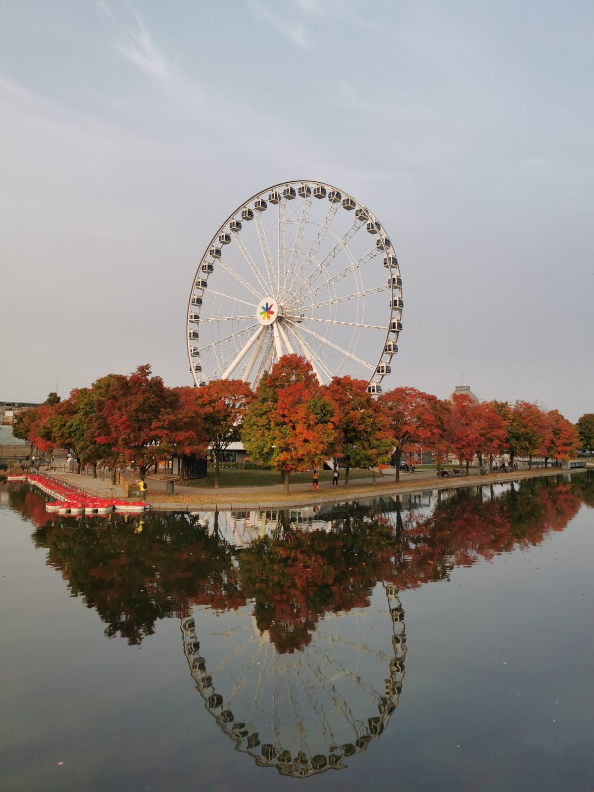 Riesenrad im Vieux-Port