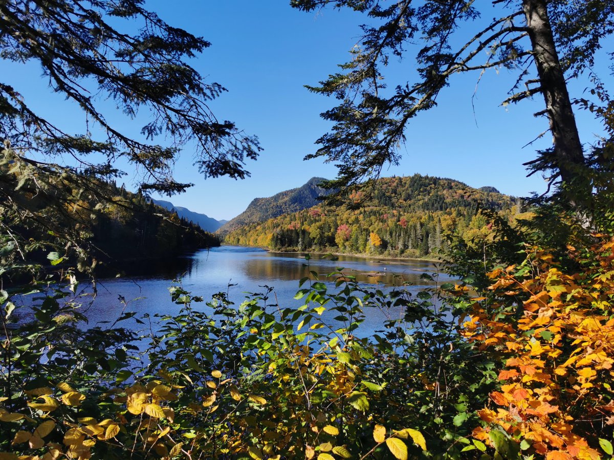 Parc national de la Jacques-Cartier