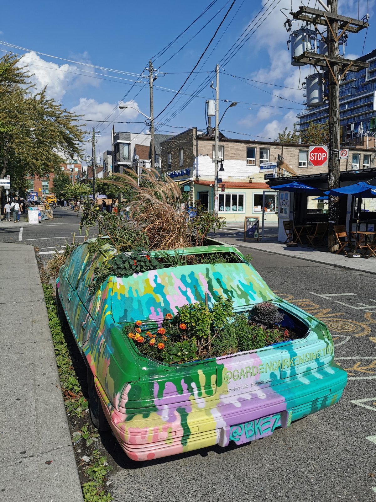 The Garden Car in Kensington Market