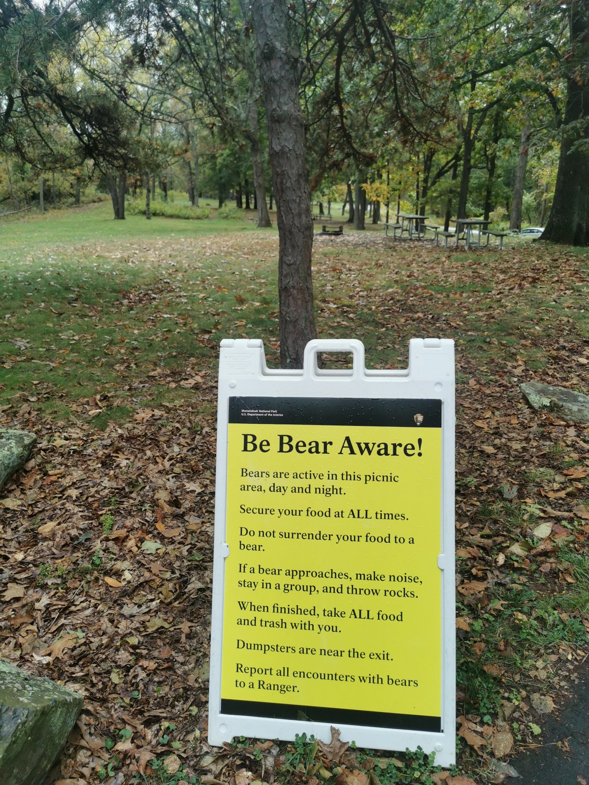 Regeln im Bärenland