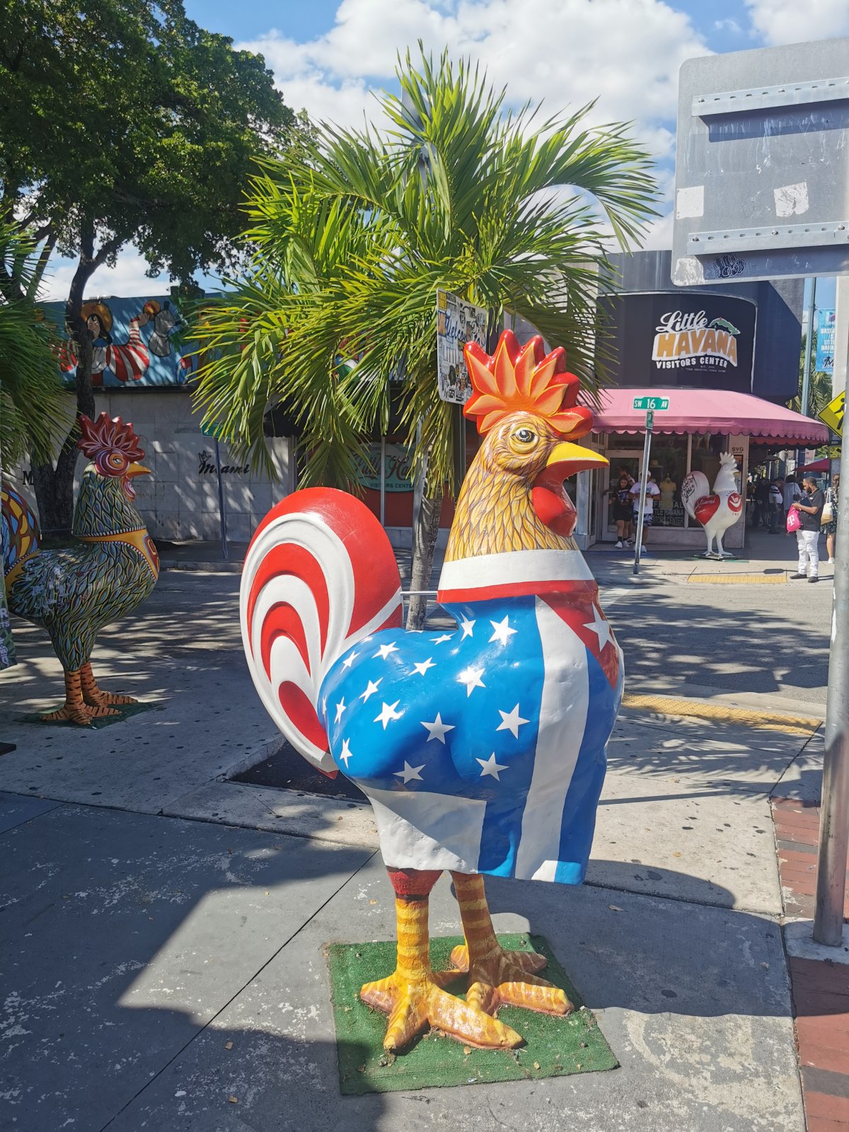 In Little Havana