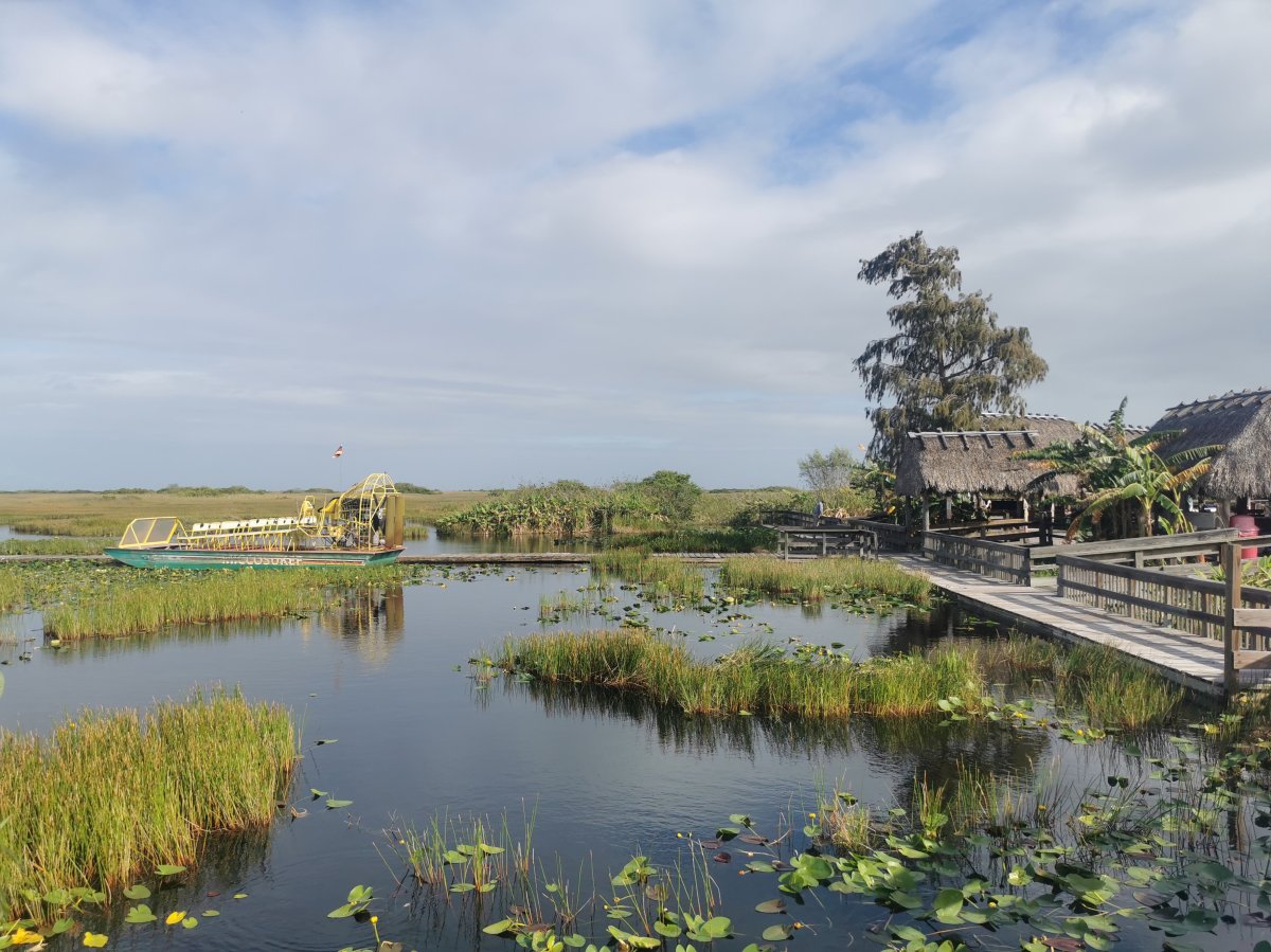 Sumpfboot und Insel der Miccosukee