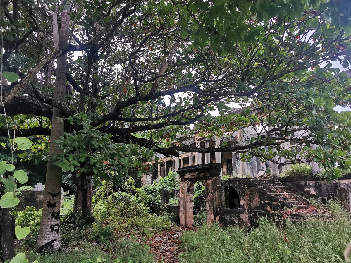 Folly Ruins