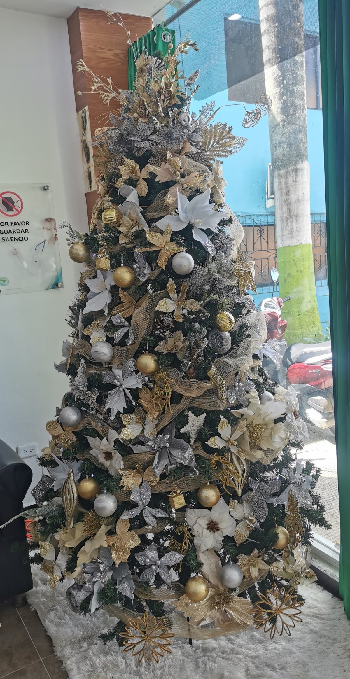 Weihnachten kann kommen! 