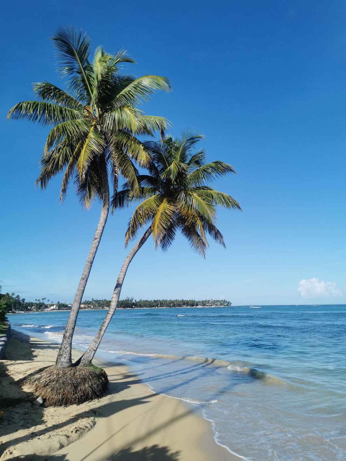 Strand in Las Terrenas