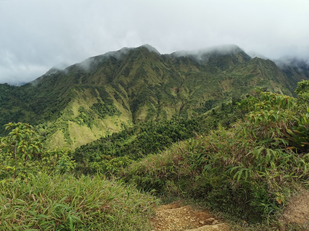 Morne Trois Pitons Nationalpark