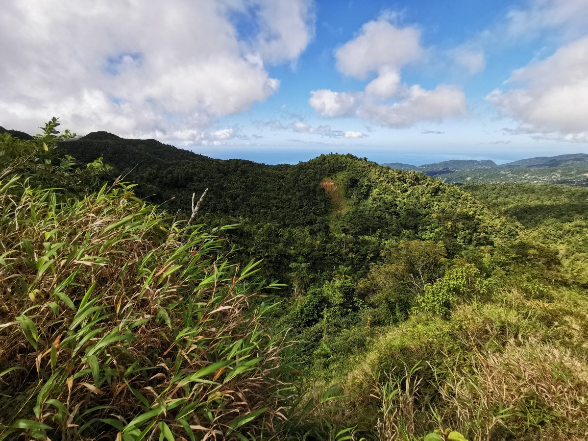 Blick Richtung Roseau