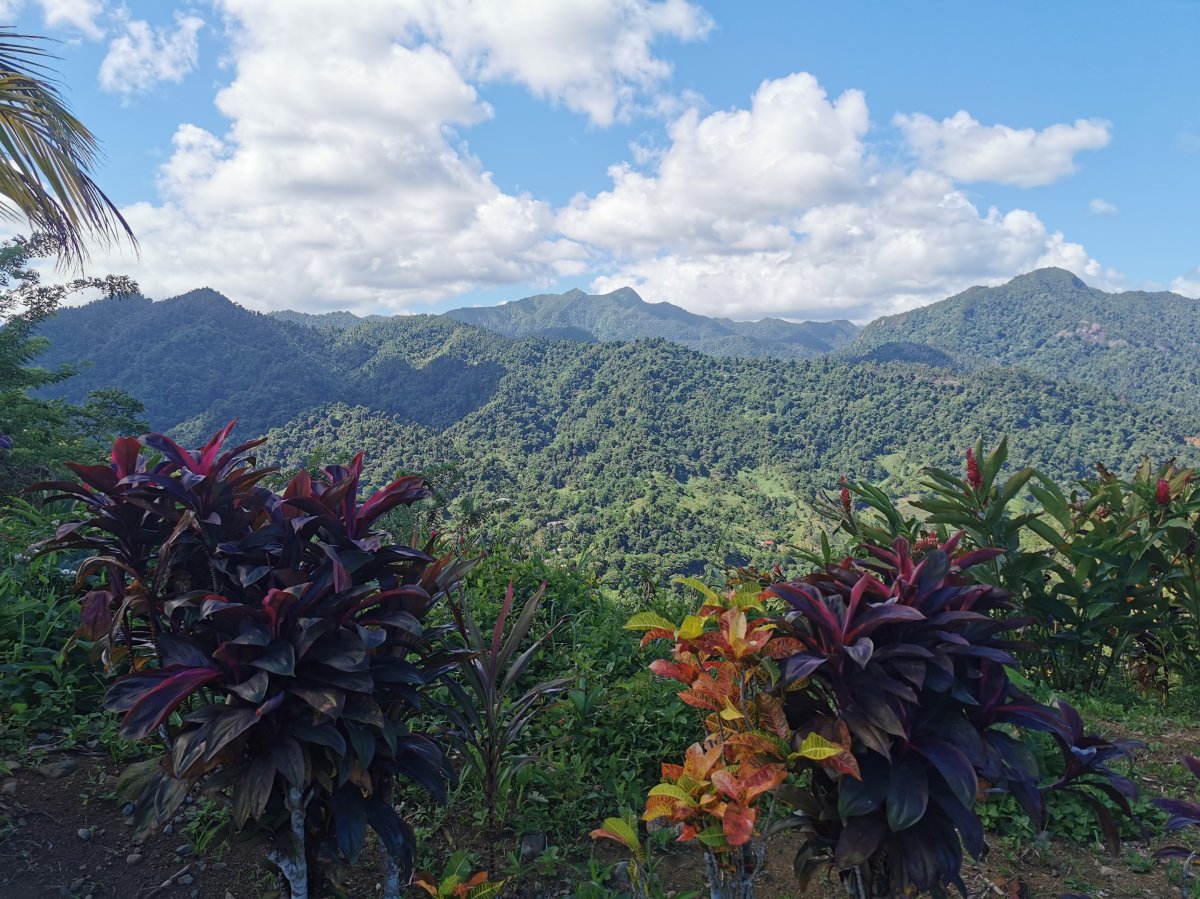 Blick vom Horseback Ridge