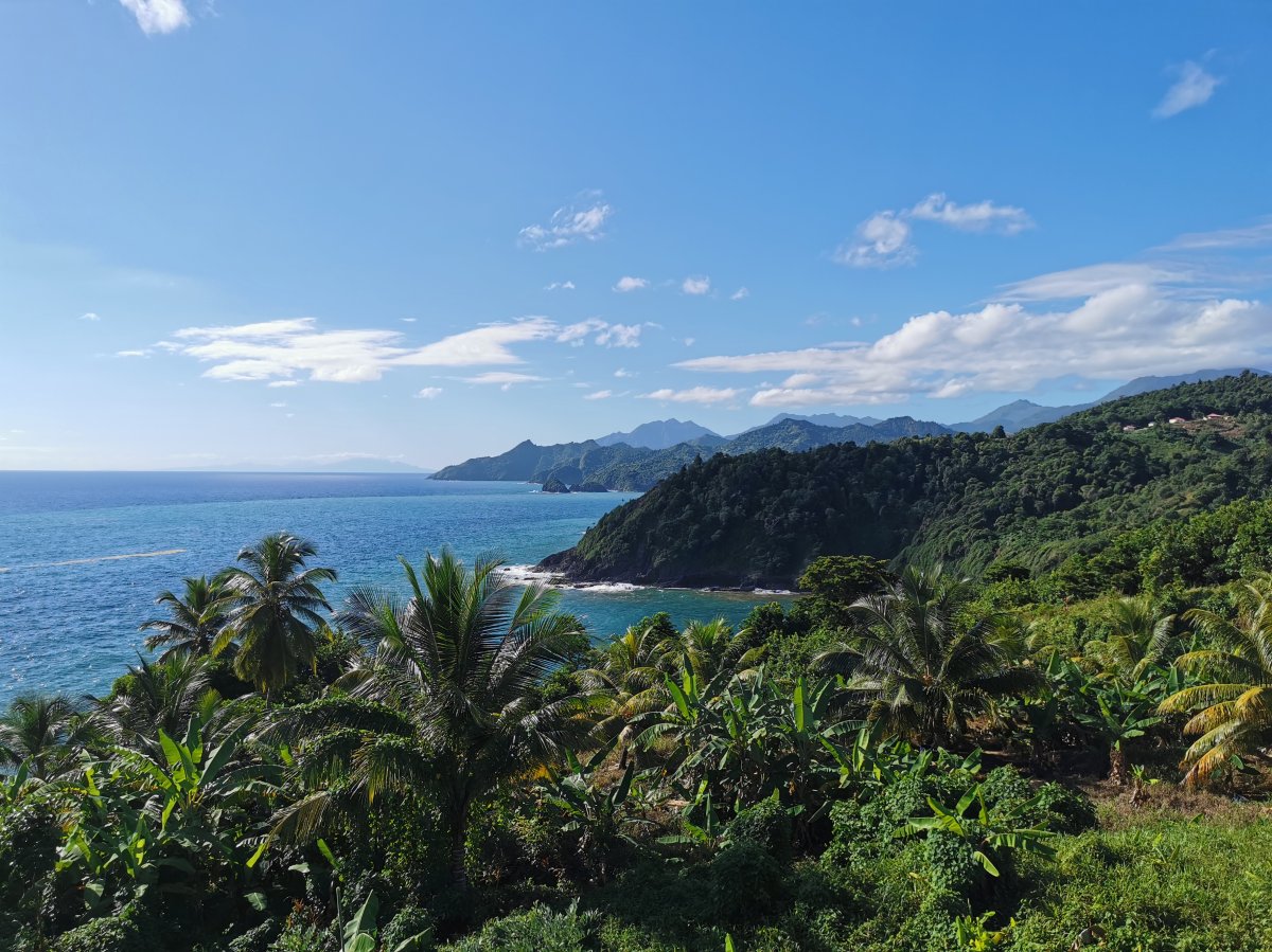 Steilküste, in der Ferne Martinique