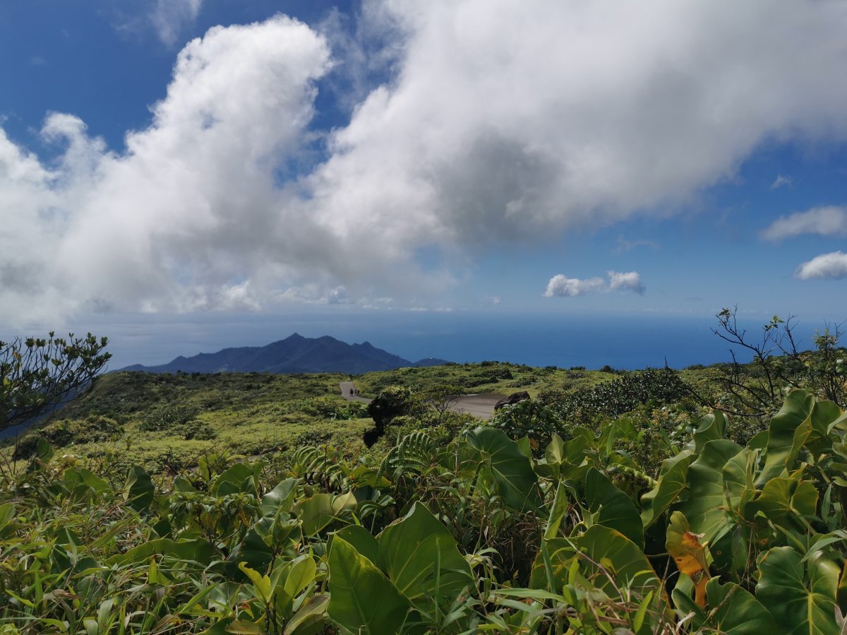 Ausblick auf Basse-Terre