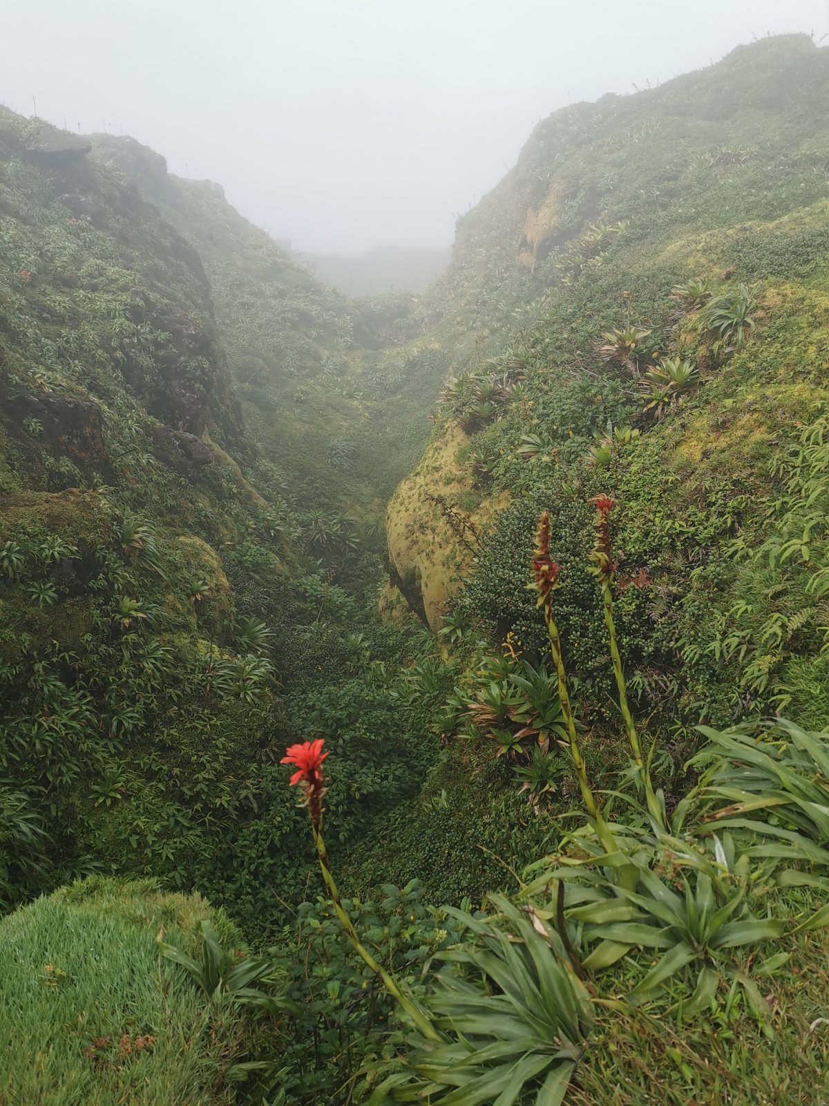 Spalte auf dem Gipfel