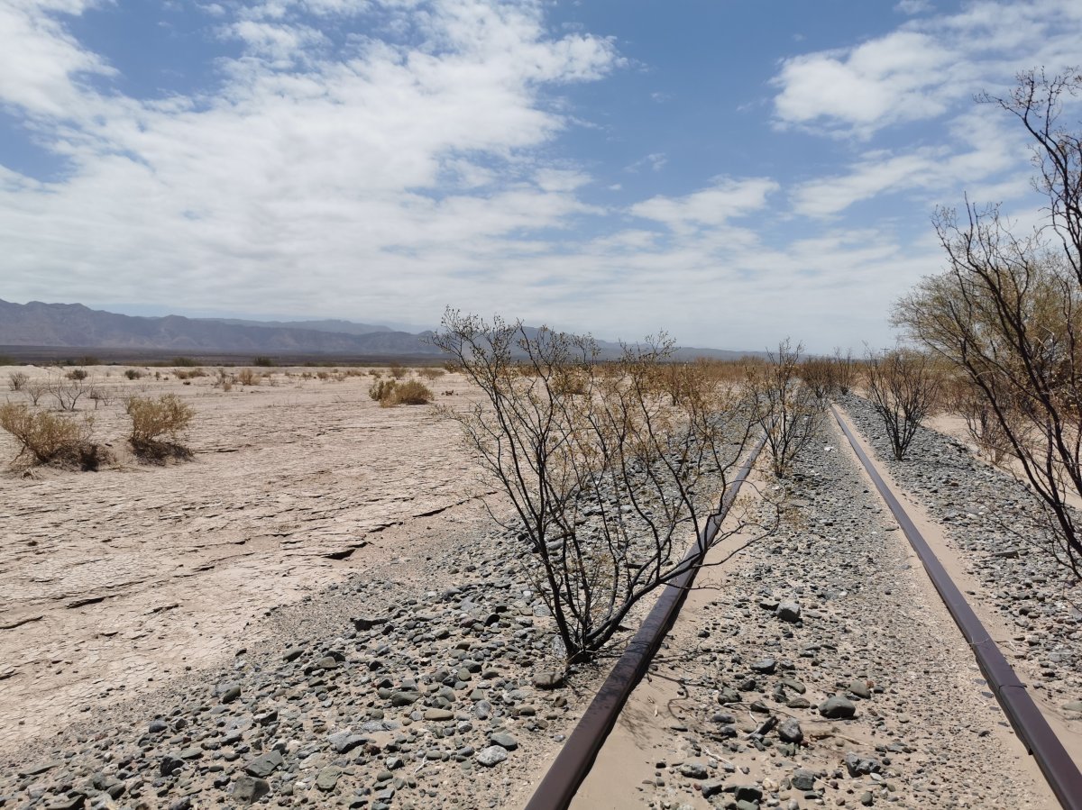 Eisenbahnschienen in der Wüste