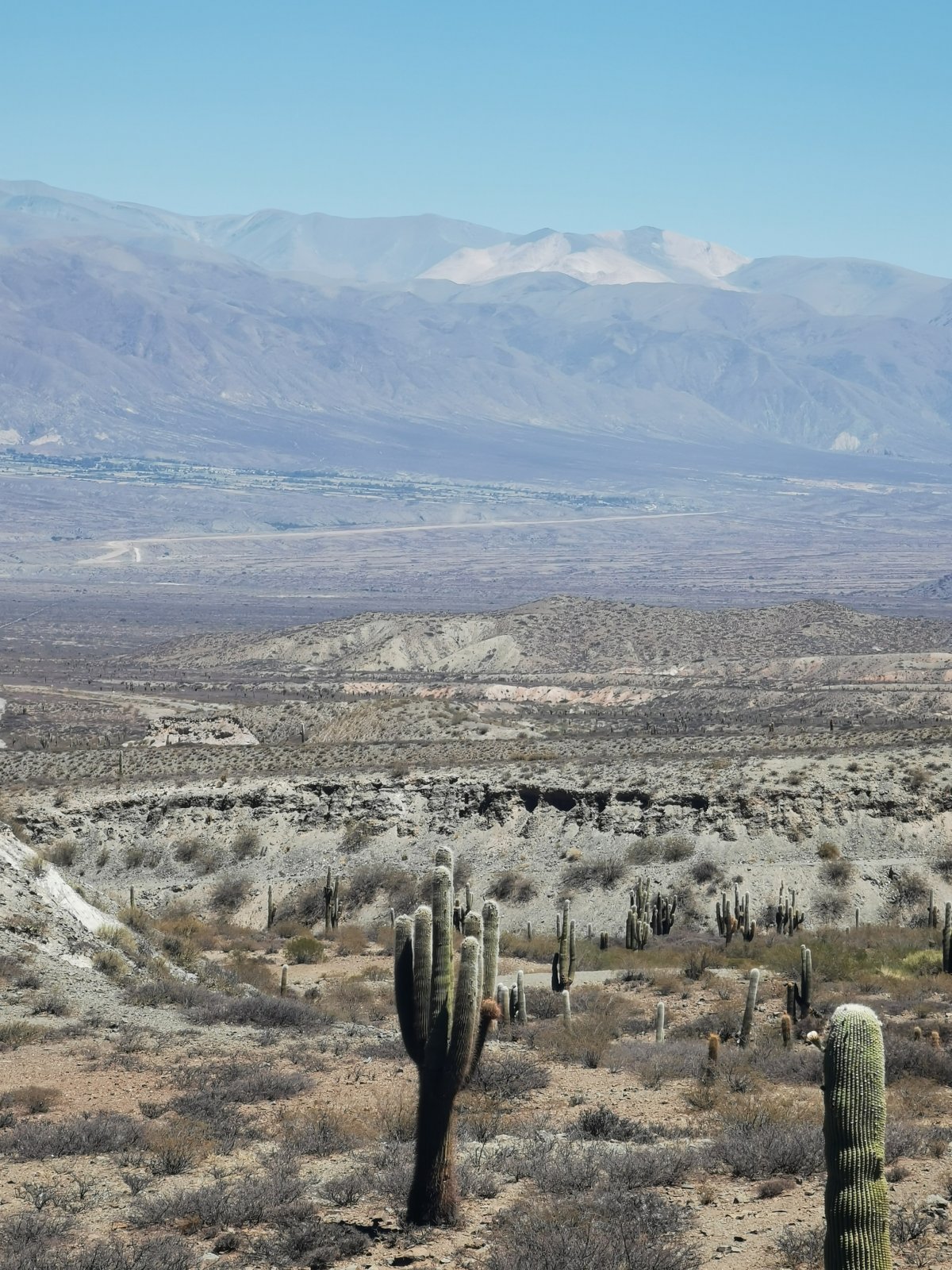 Parque Nacional Los Cardones