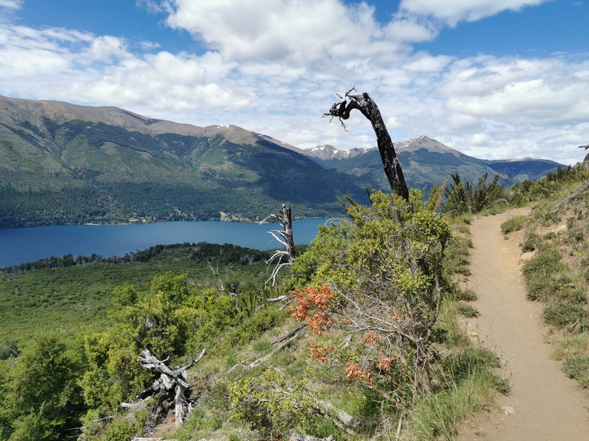 Wanderweg zum Refugio Frey