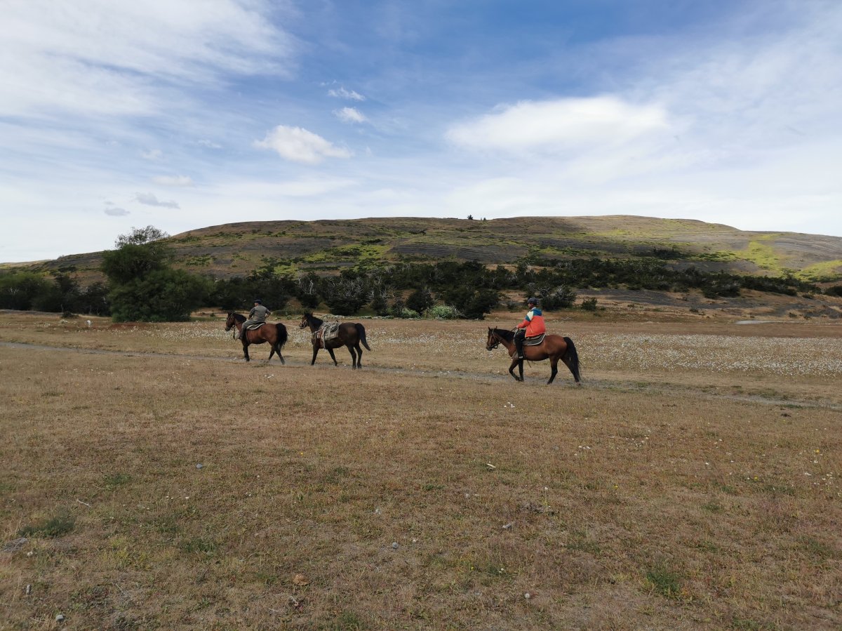 Pferde beim Campamento Central