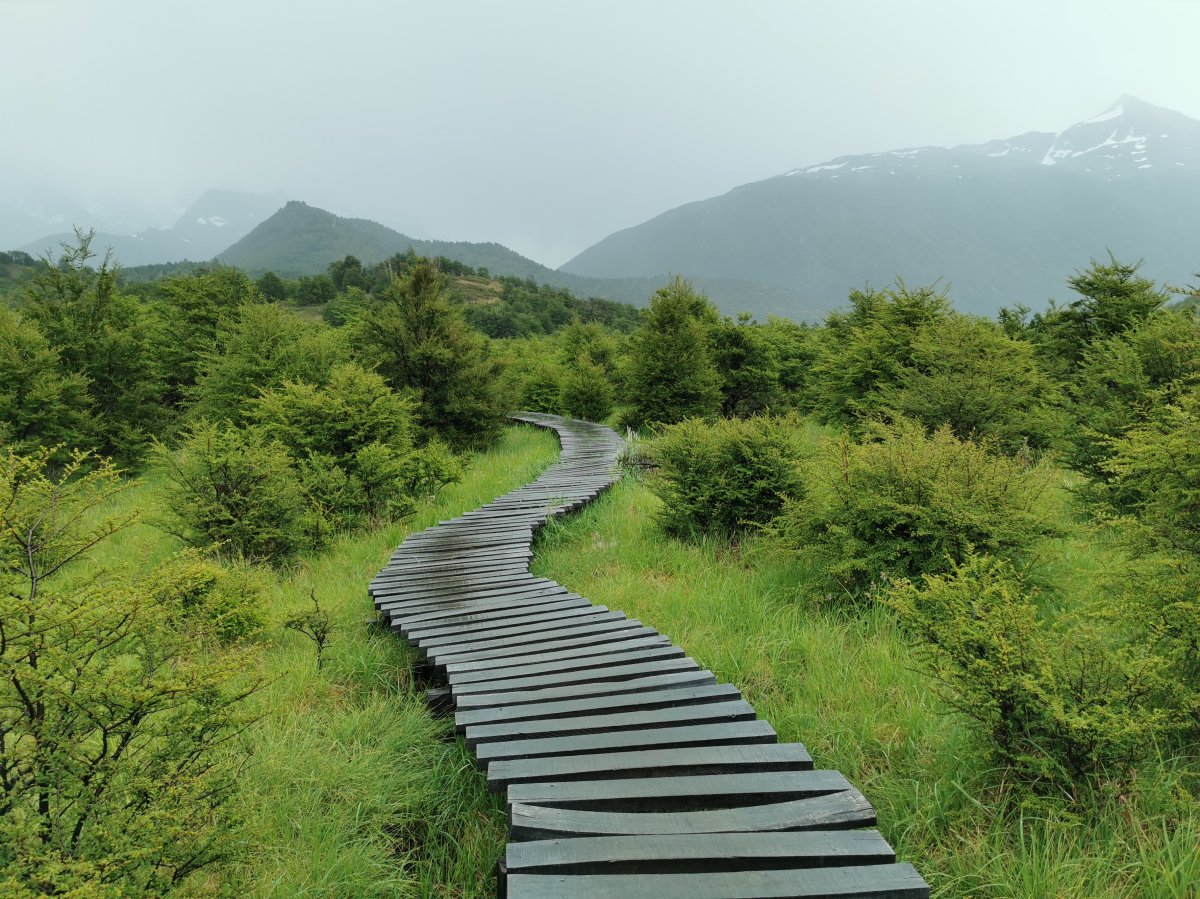 Weg durch Feuchtgebiet