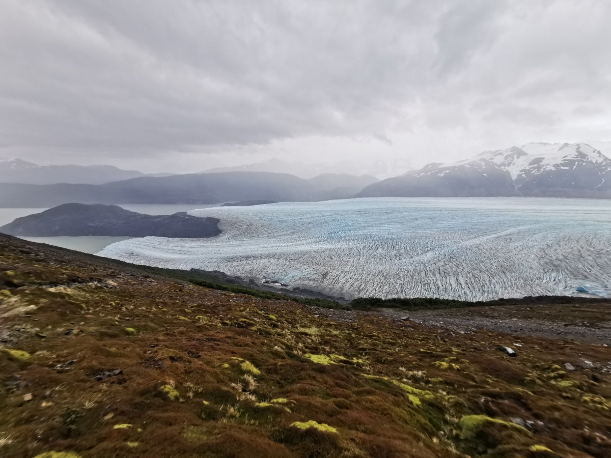 Glaciar Grey