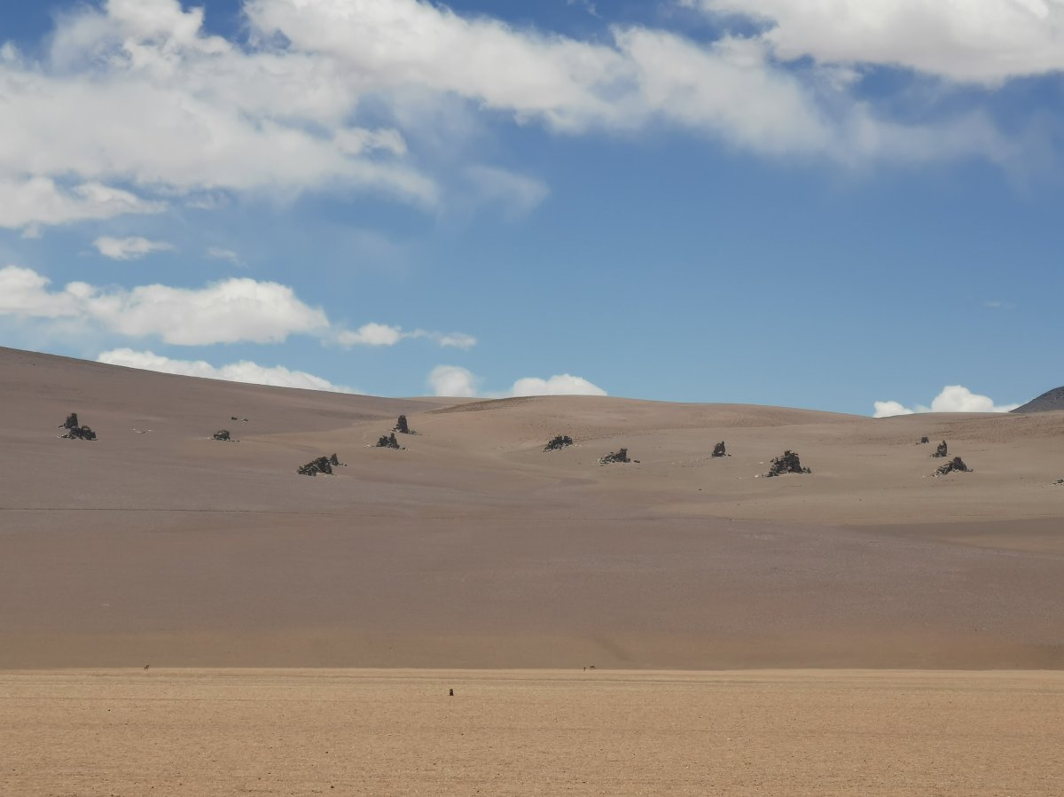 Desierto Salvador Dalí