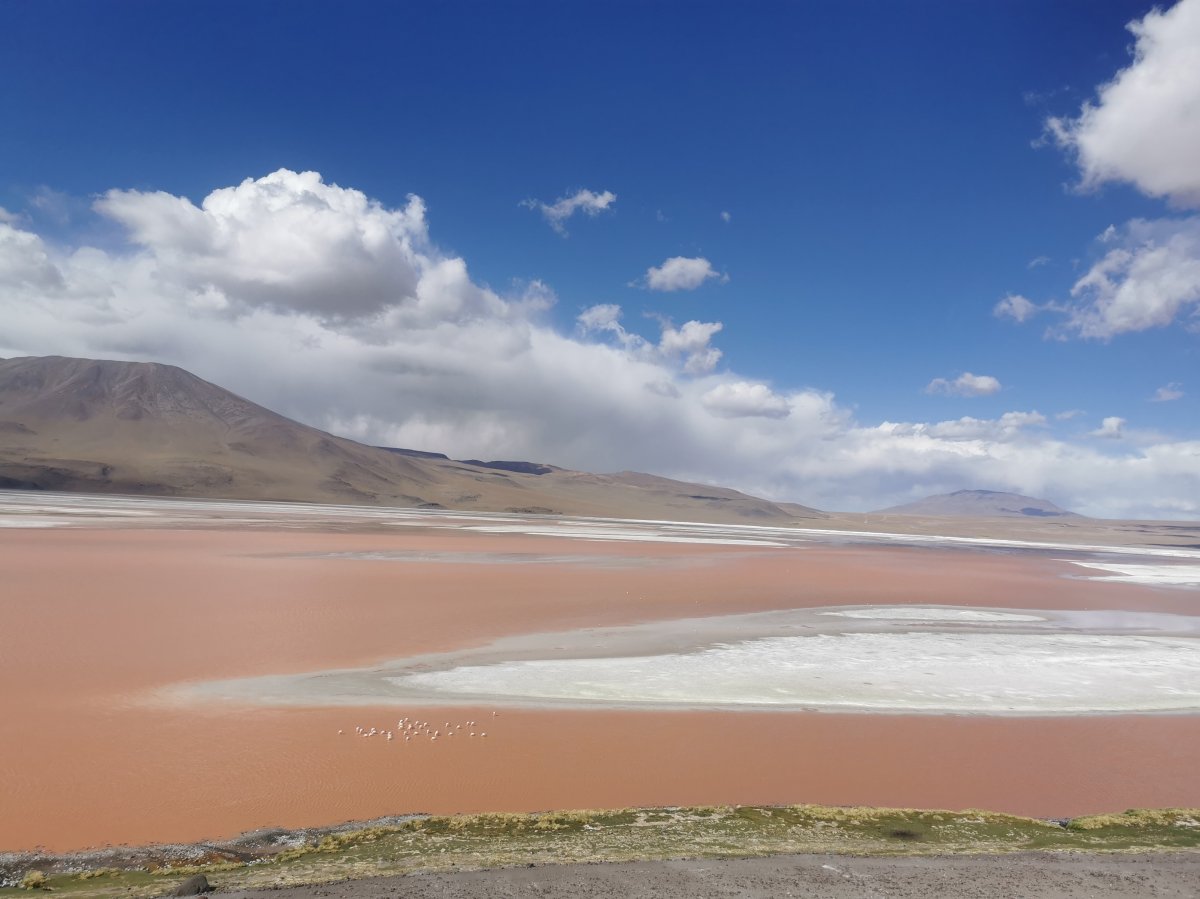 Laguna Colorada