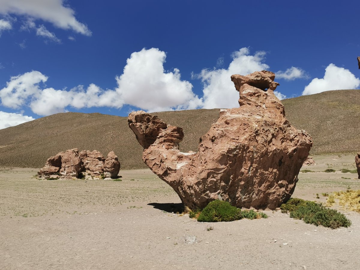 Camello de Piedra & Dinodaurio Dormido