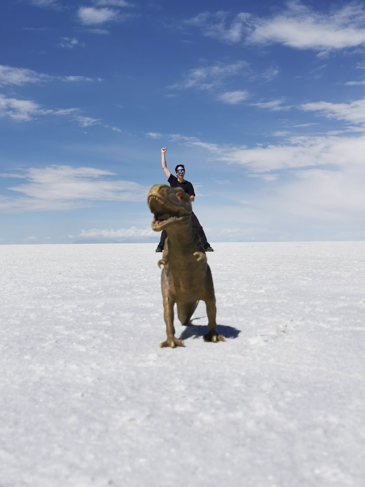 Erzwungene Perspektive