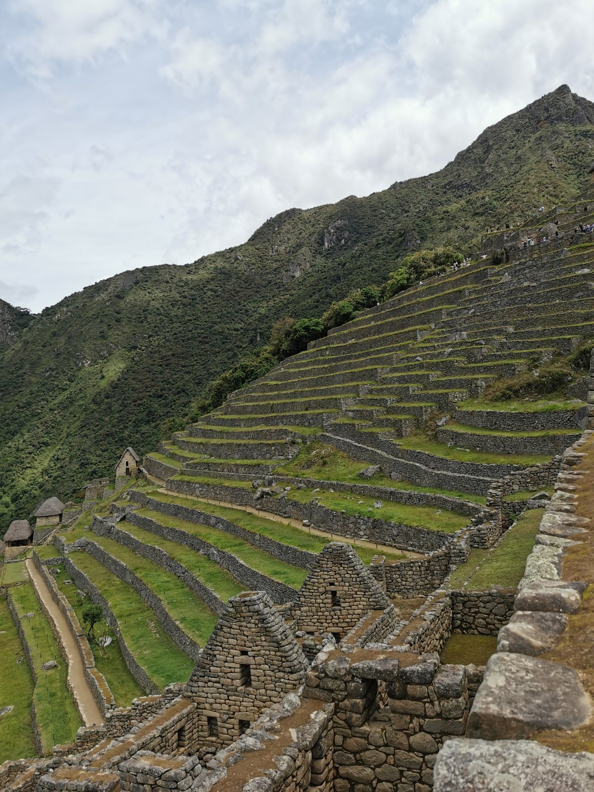 Landwirtschaftsterrassen