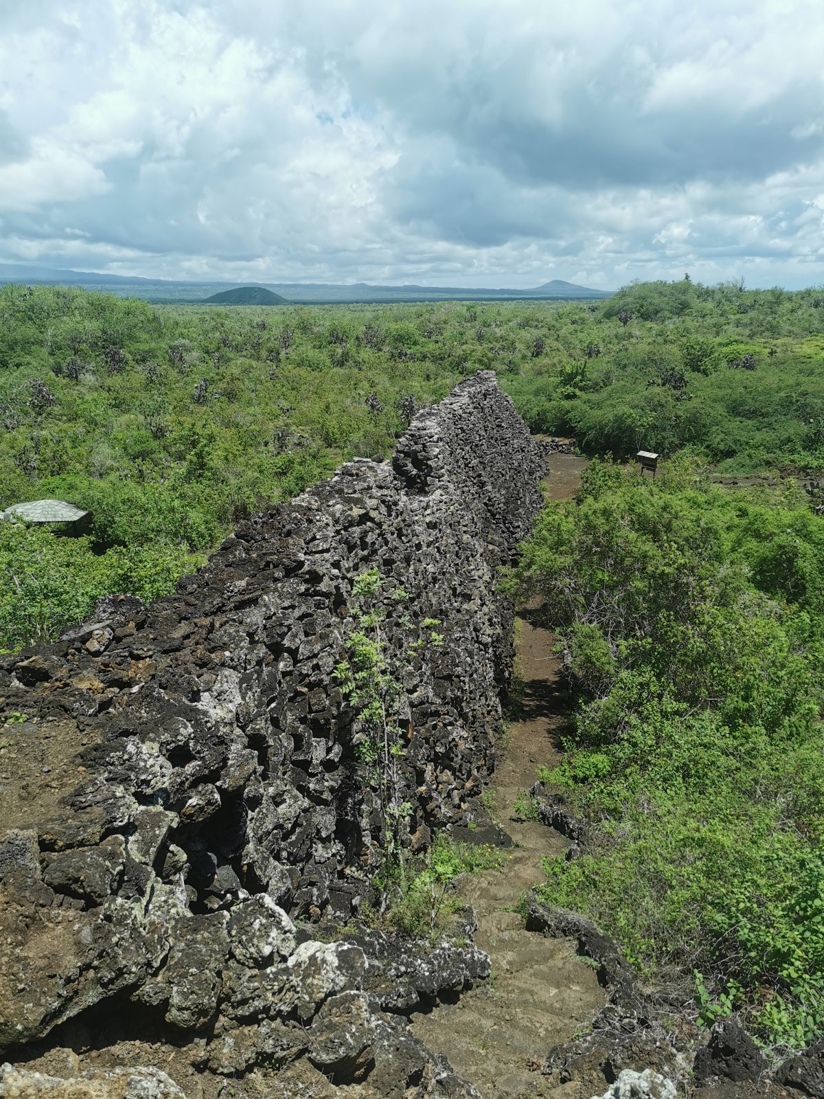 Muro de las Lágrimas
