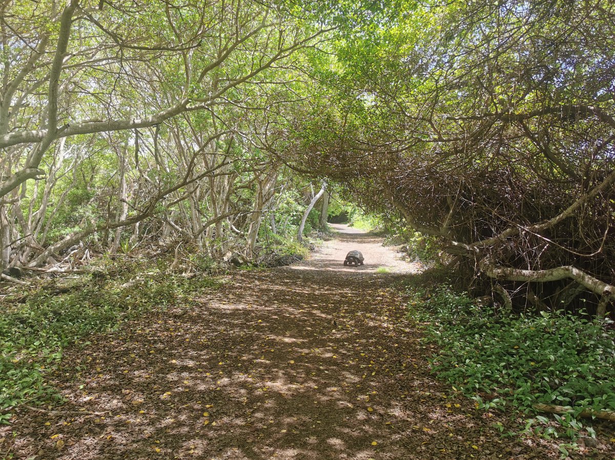 Islas Galápagos