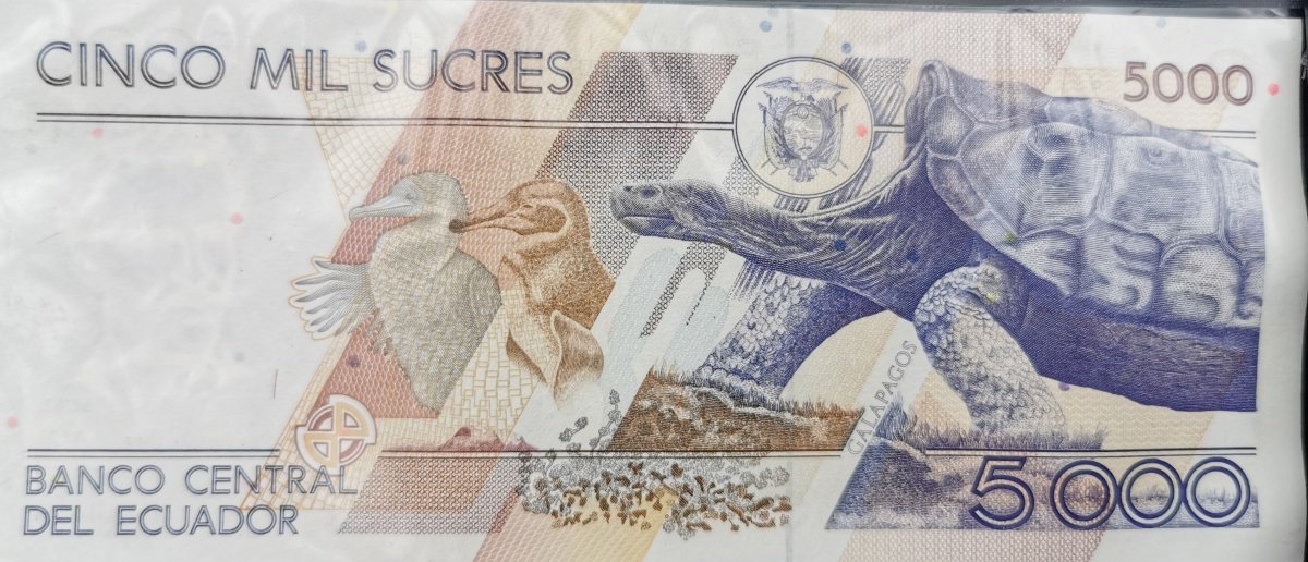 Sucre-Banknote