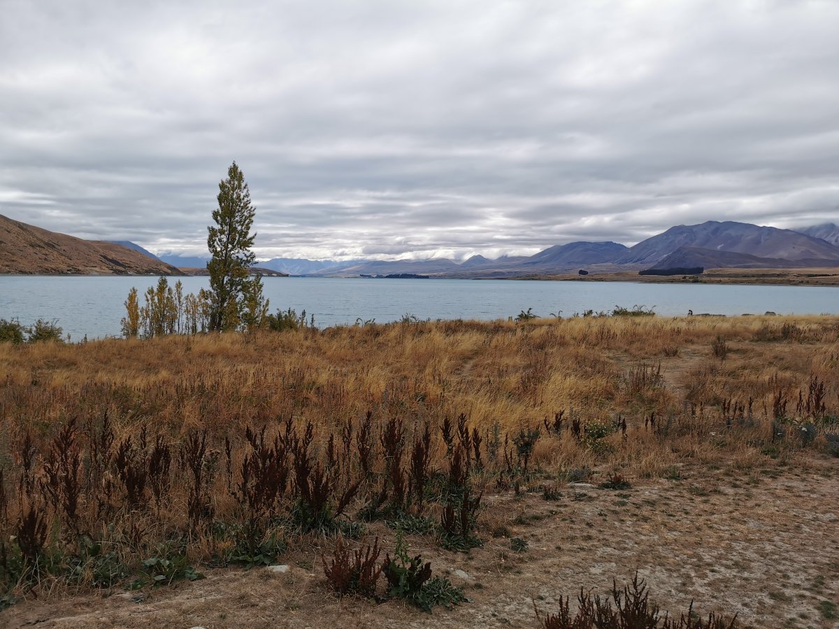 Lake Takapō