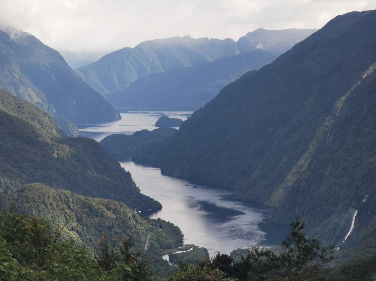 Doubtful Sound/Patea