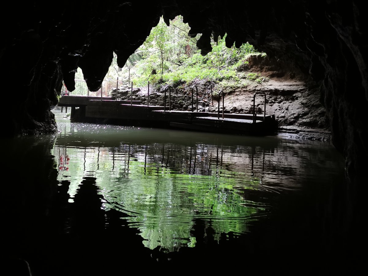 Waitomo Cave