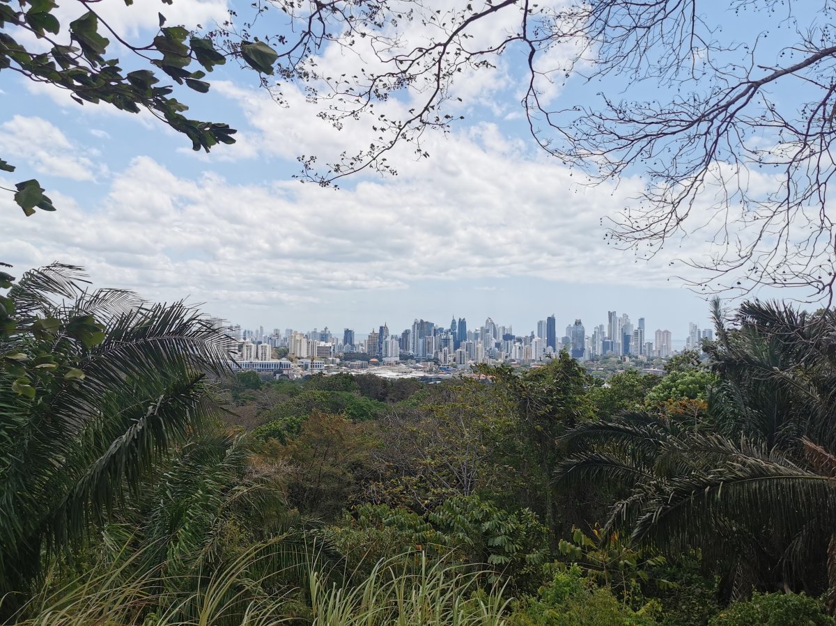 Aussicht auf die Stadt