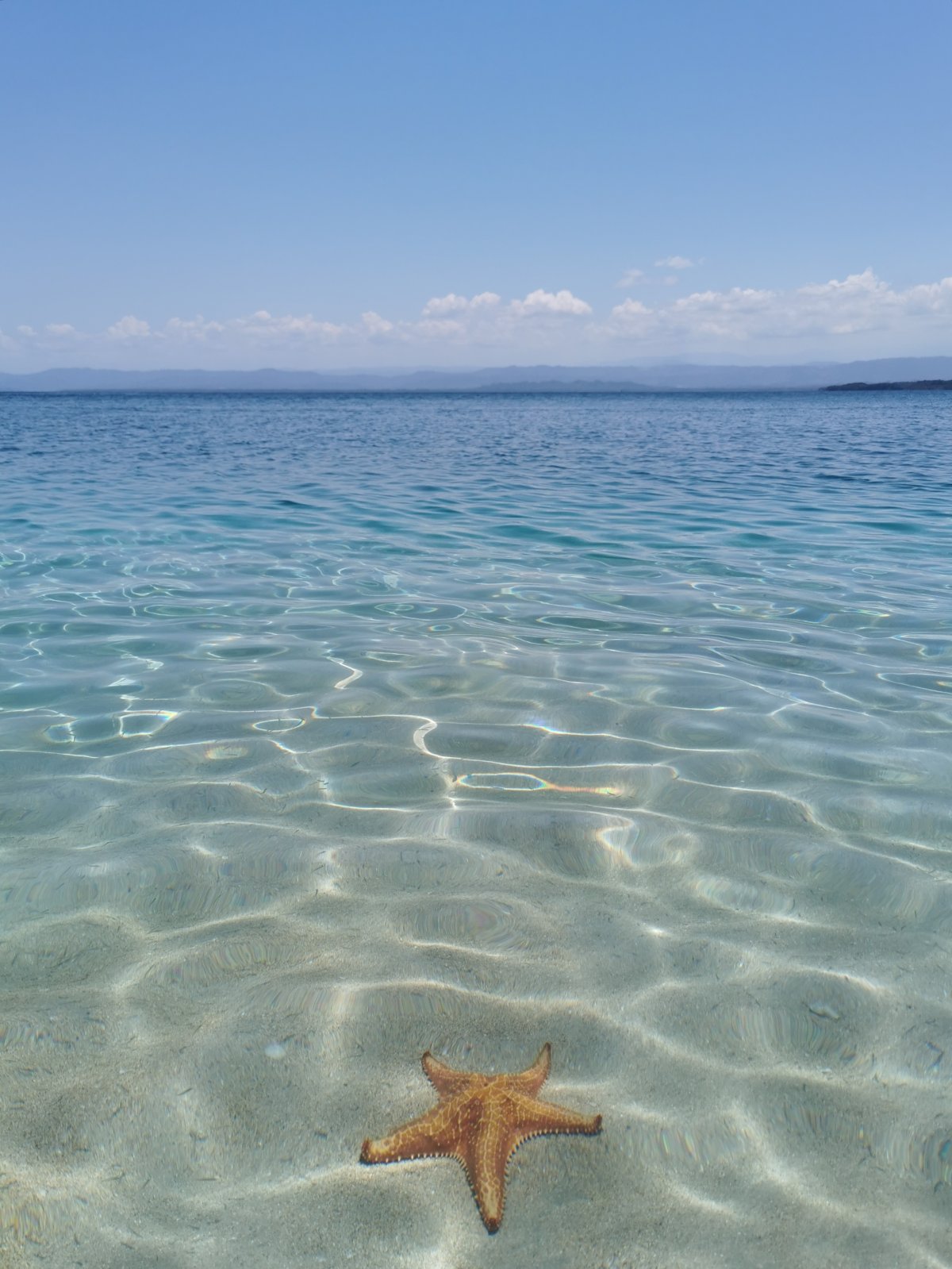 Playa de las Estrellas