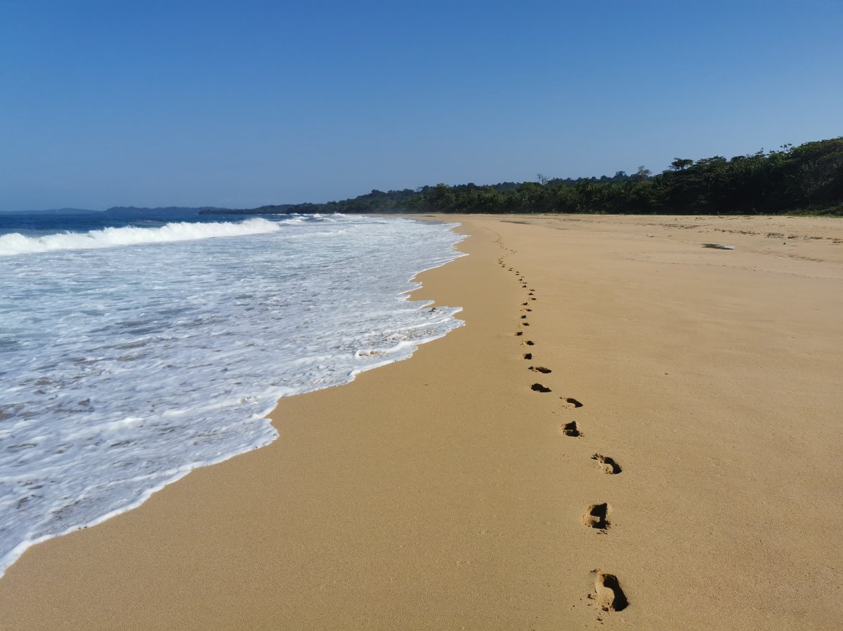 Strandwanderung, Paya Bluff