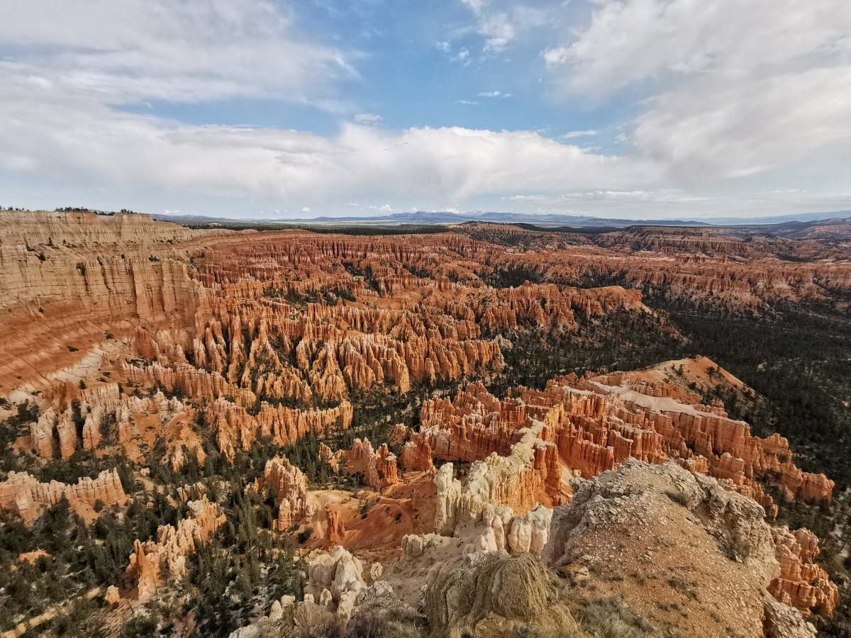 Bryce Point