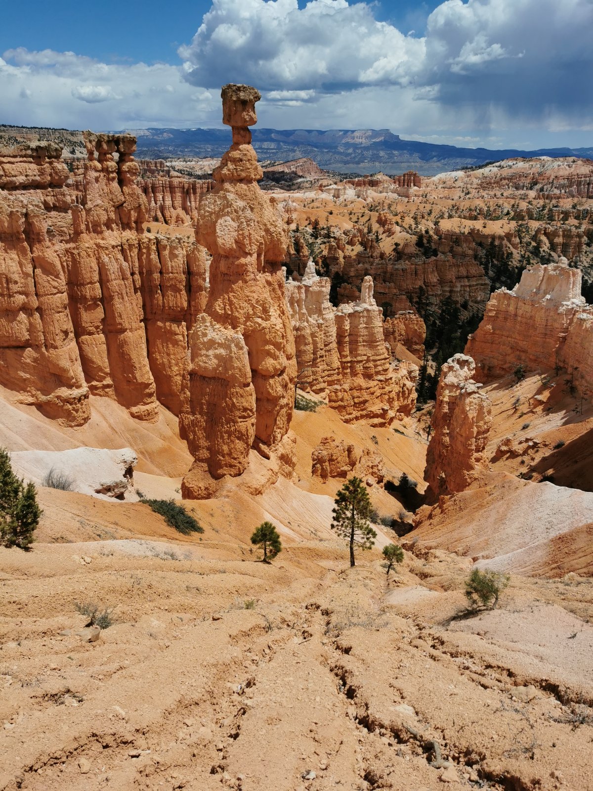 Hoodoos