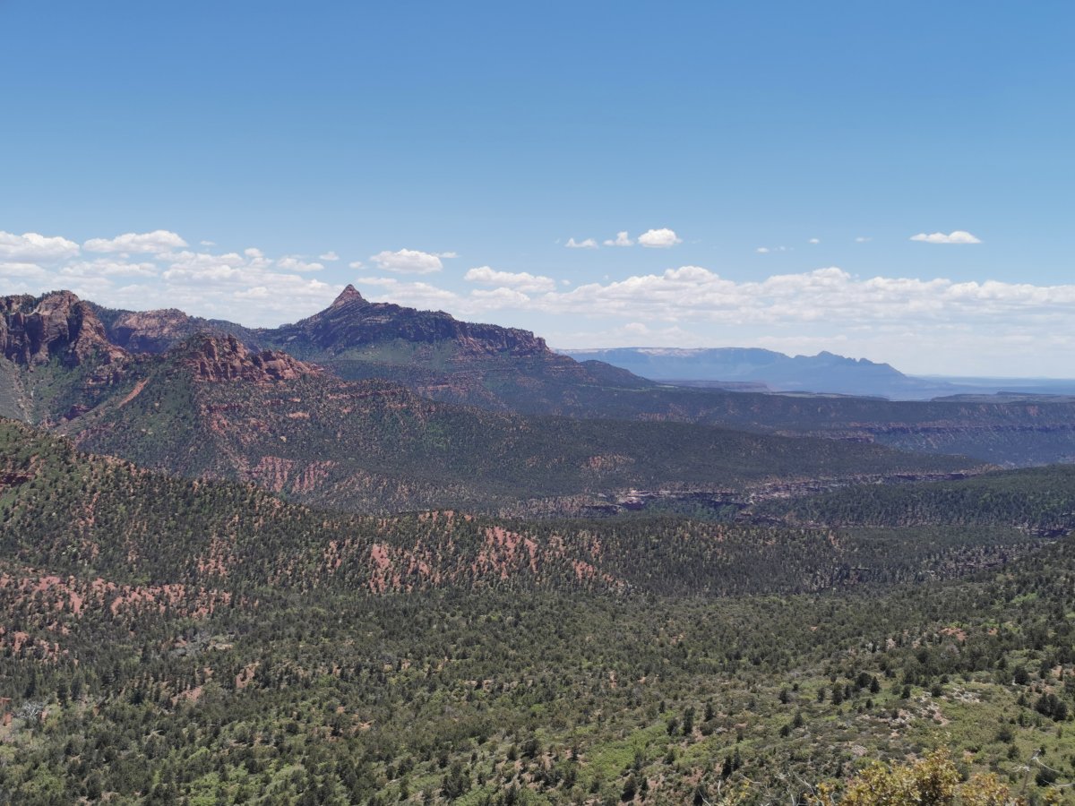 Aussicht zum Grand Canyon