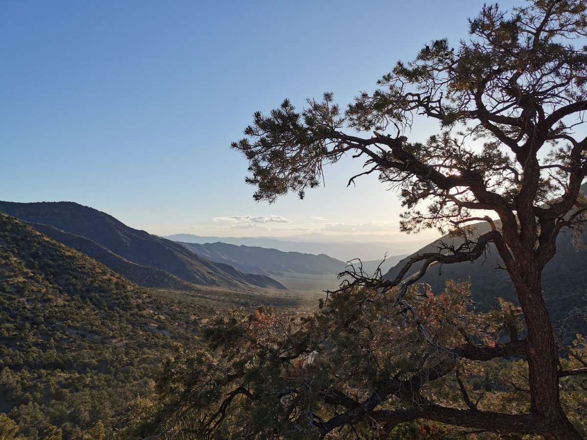 Wanderung Wildrose Peak