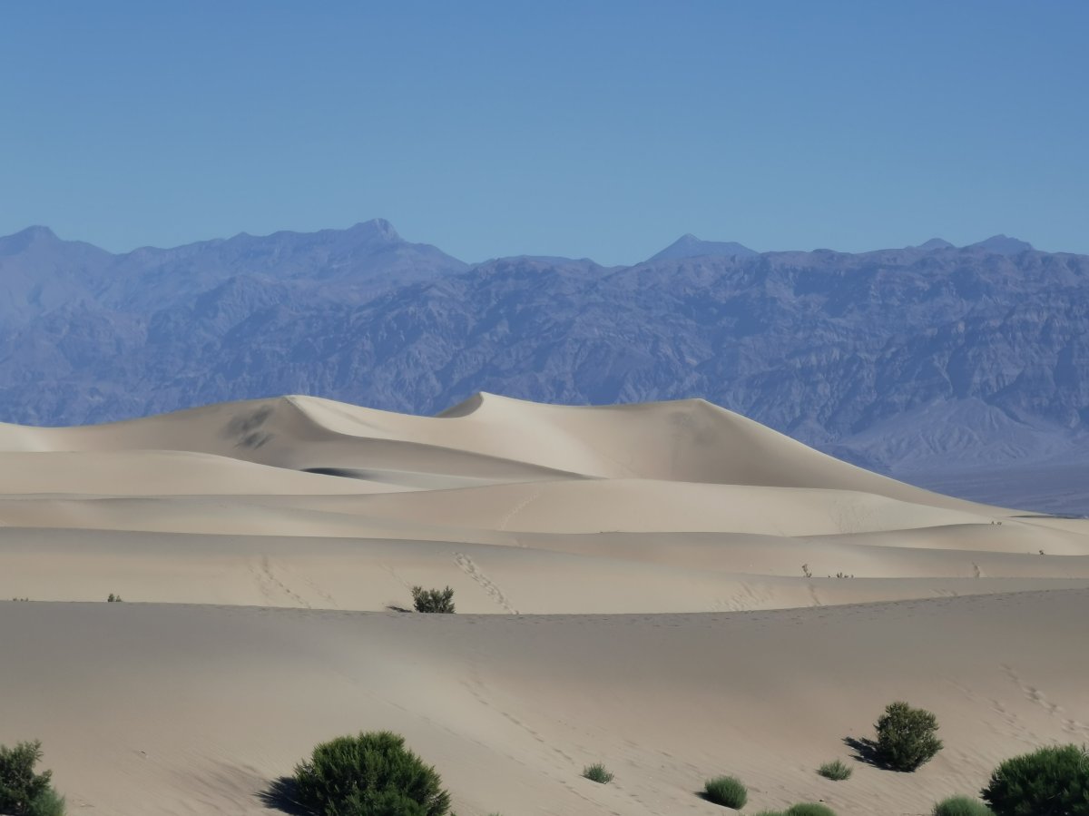 Mesquite Sand Dunes