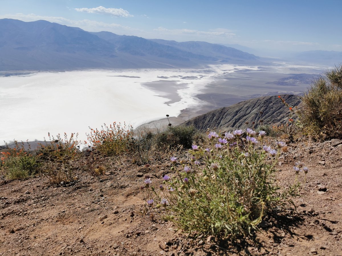 Badwater Basin