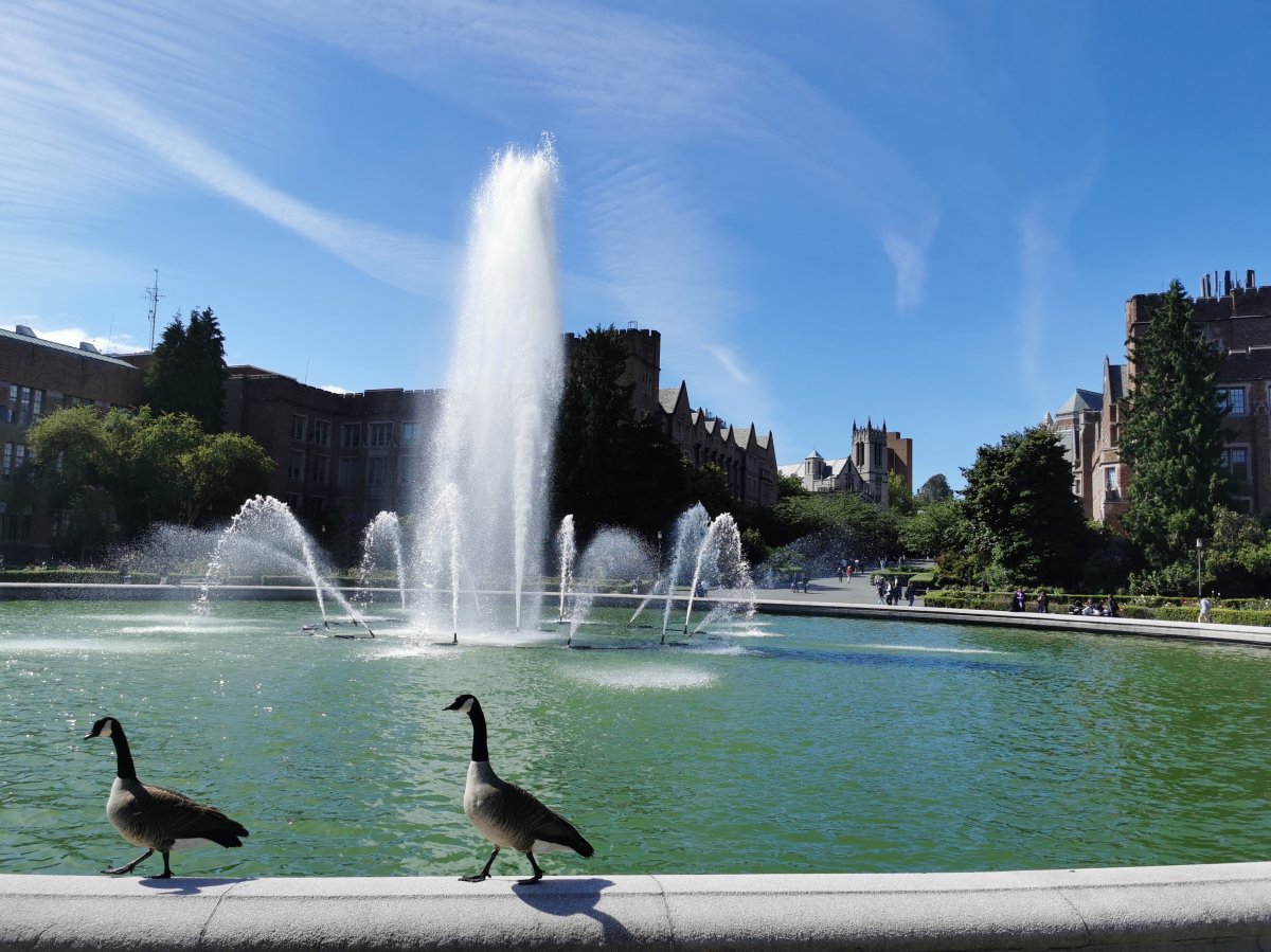 University of Washington