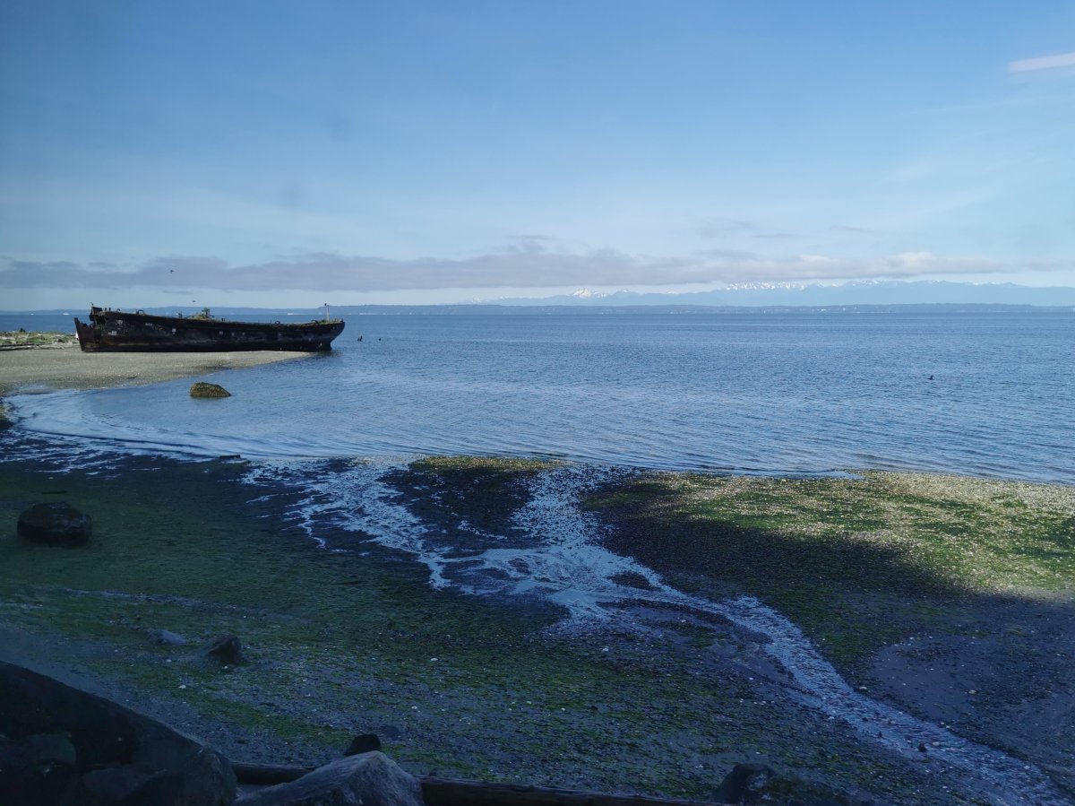 Olympic Mountainrange