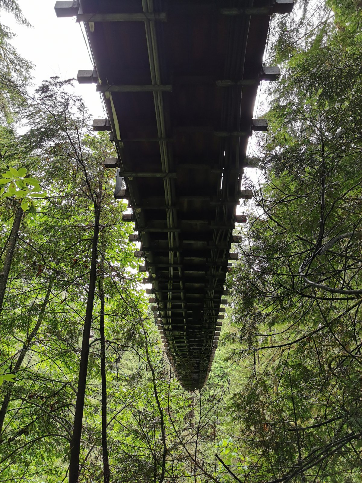 Capilano Suspension Bridge 