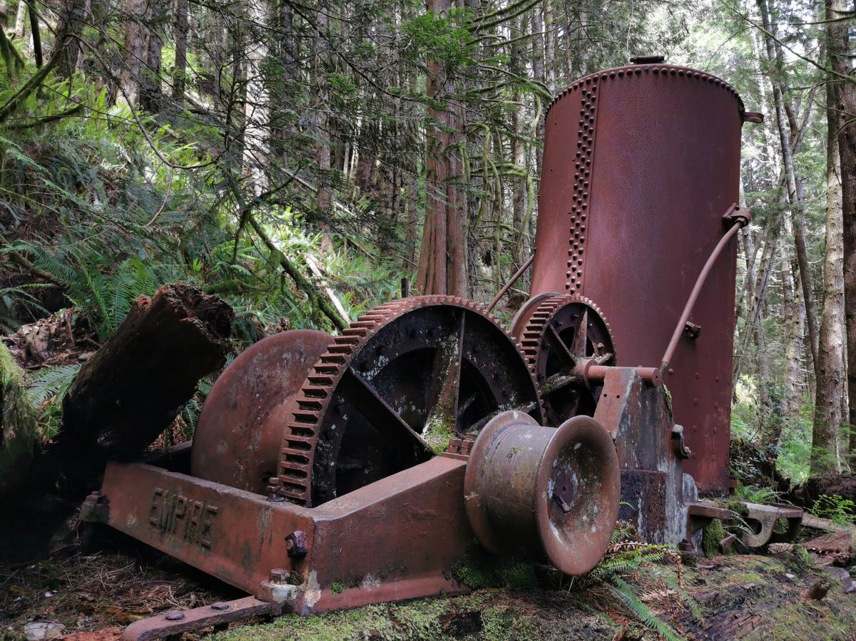 Dampfmaschine im Wald
