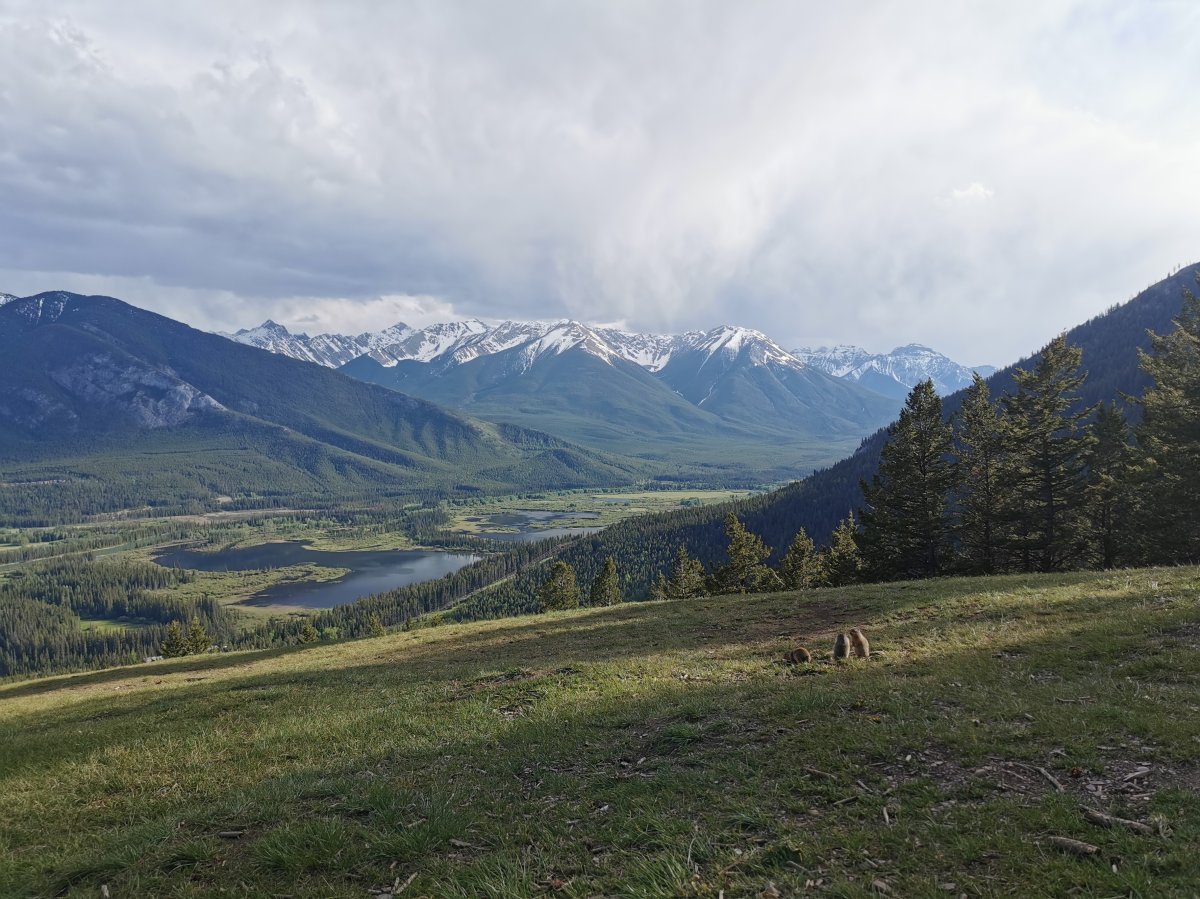 Aussicht auf die Seen